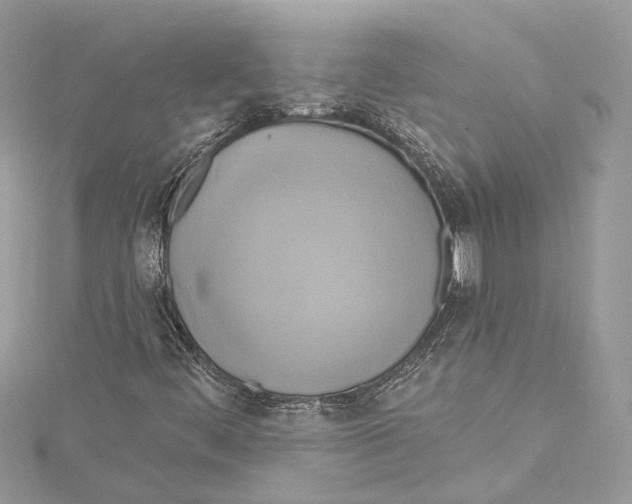 X0000115421444200912011317