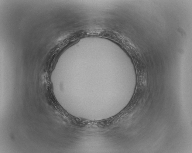 X0000115421445200912011317