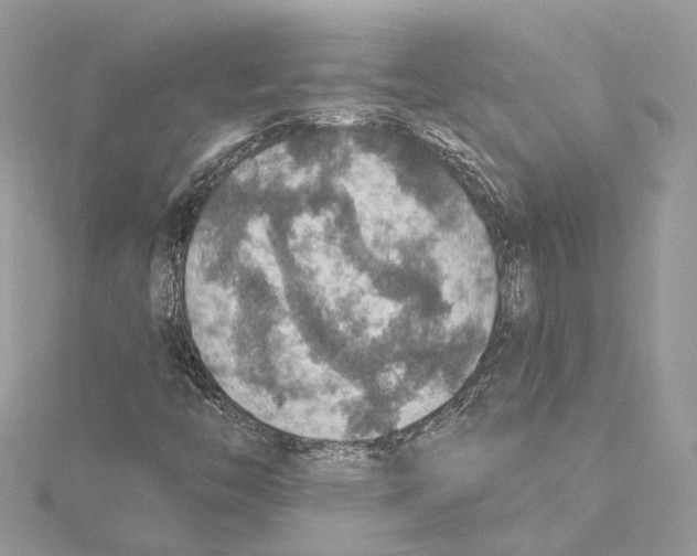 X0000115421446200912011317