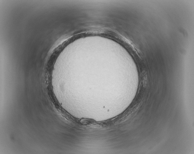 X0000115421448200912011317