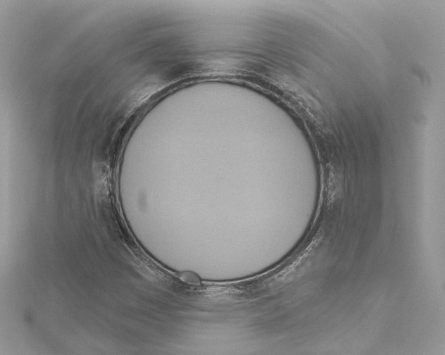 X0000115421449200912011317