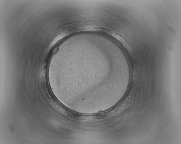 X0000115421450200912011317