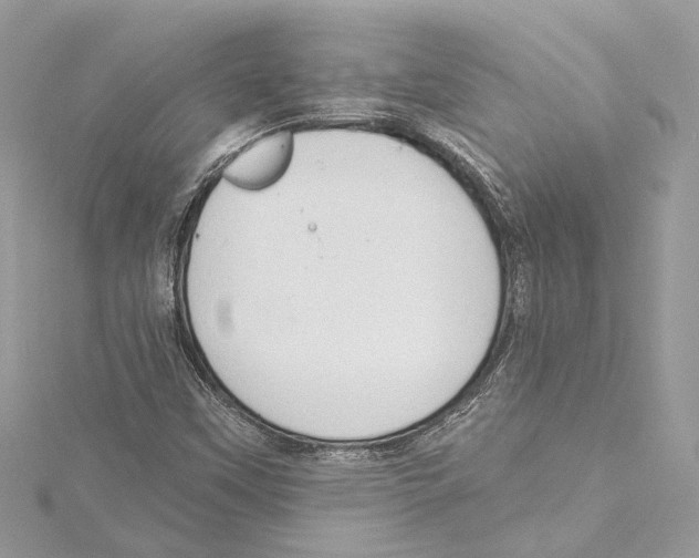 X0000115421451200912011317