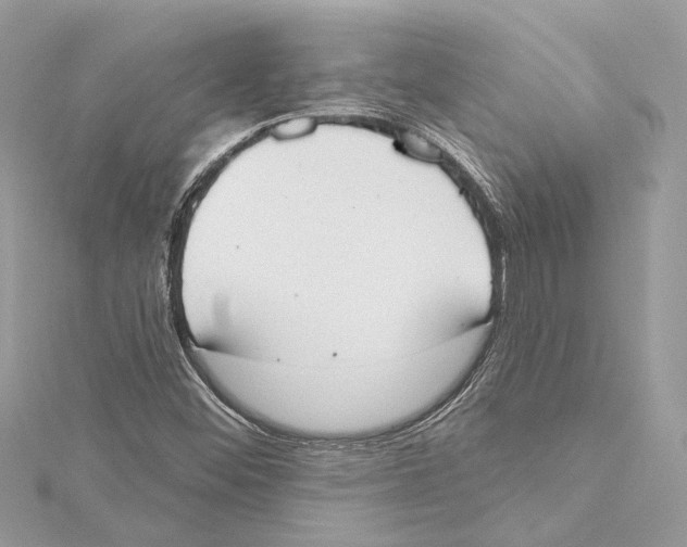 X0000115421452200912011317