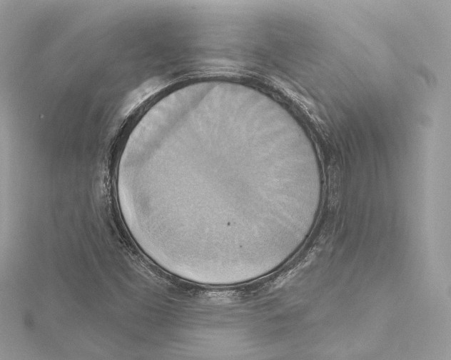 X0000115421453200912011317