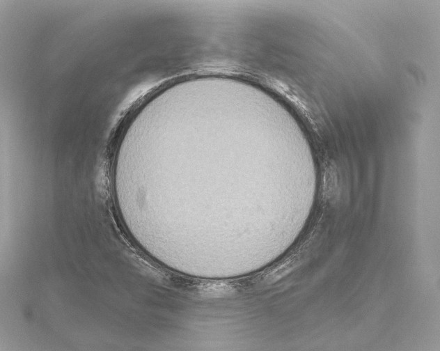 X0000115421454200912011317