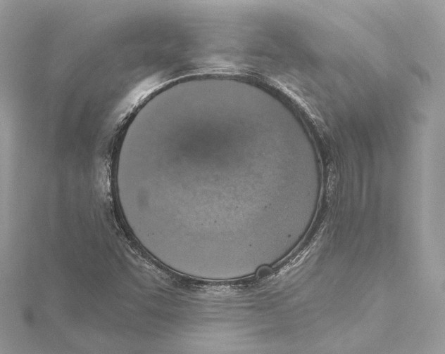 X0000115421455200912011317