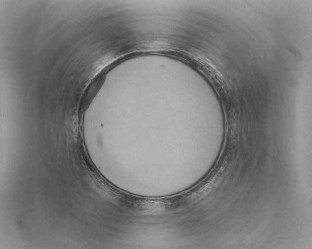 X0000115421457200912011317