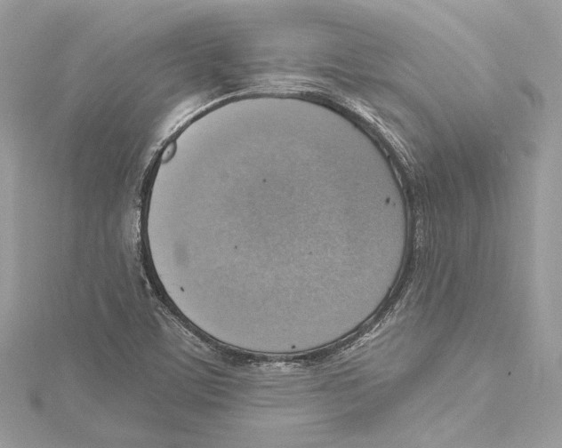 X0000115421459200912011317