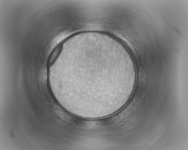 X0000115421461200912011317