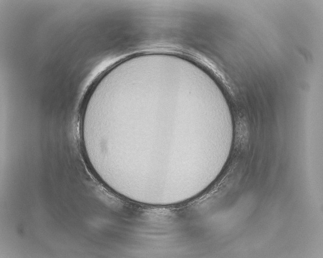 X0000115421462200912011317