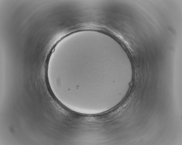 X0000115421463200912011317