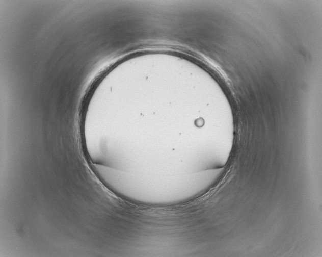 X0000115421464200912011317