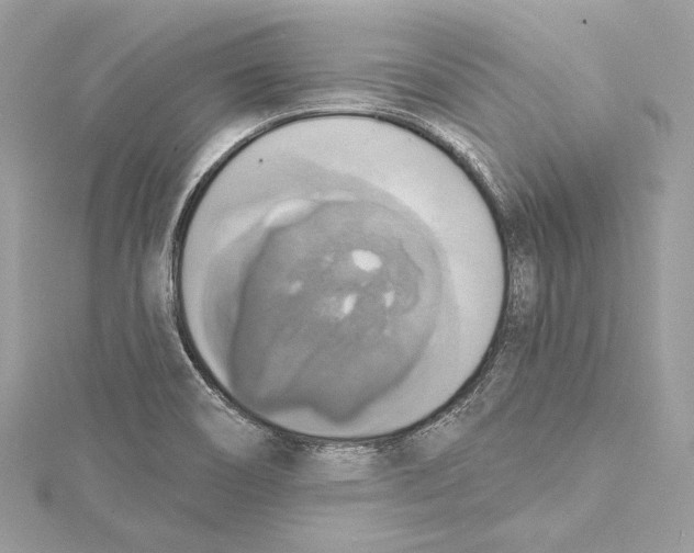 X0000115421466200912011317