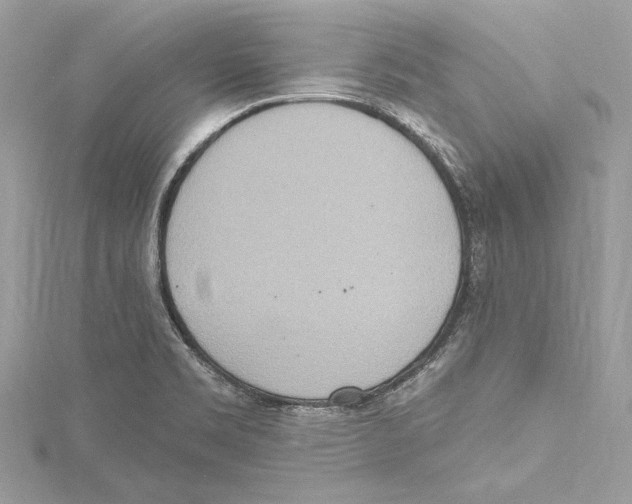 X0000115421469200912011317