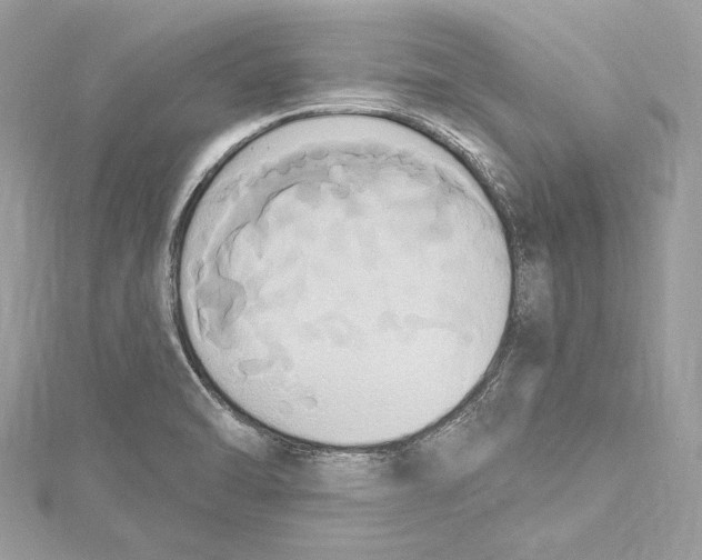 X0000115421470200912011317