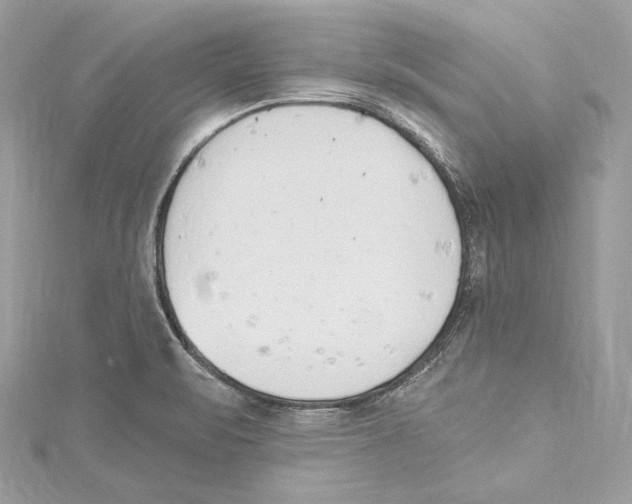 X0000115421471200912011317