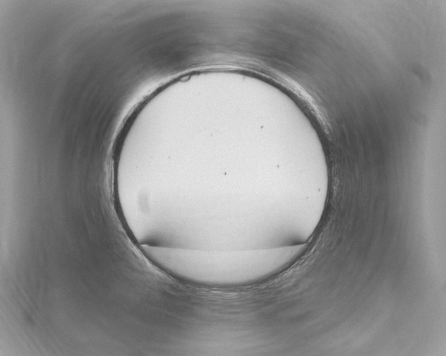 X0000115421472200912011317