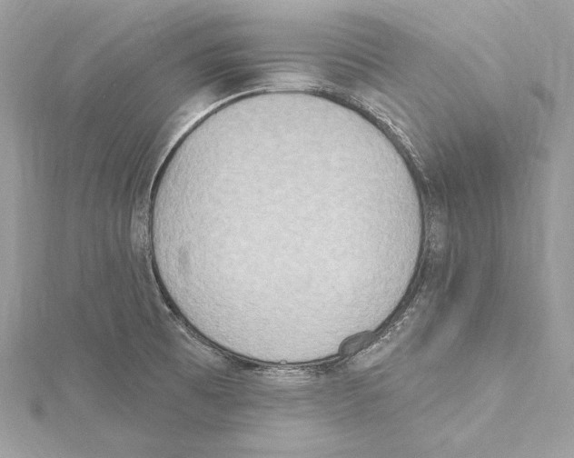 X0000115421473200912011317