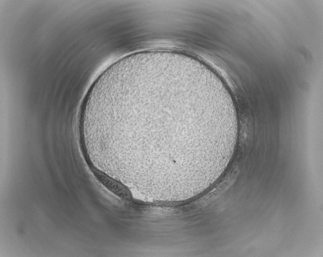 X0000115421475200912011317