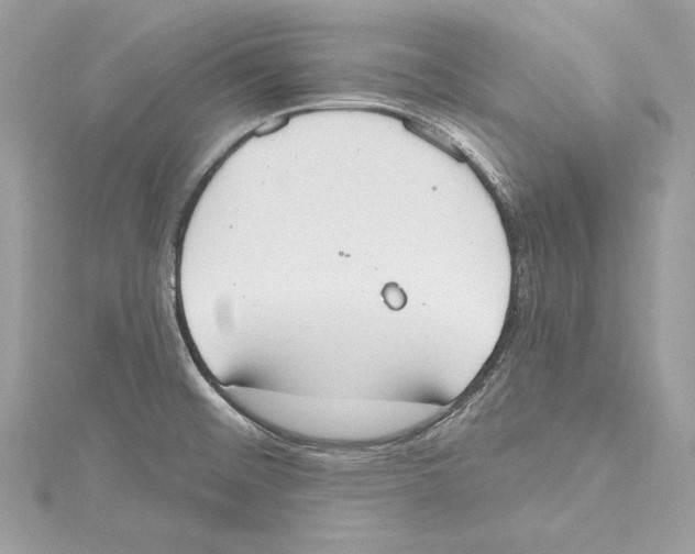 X0000115421476200912011317