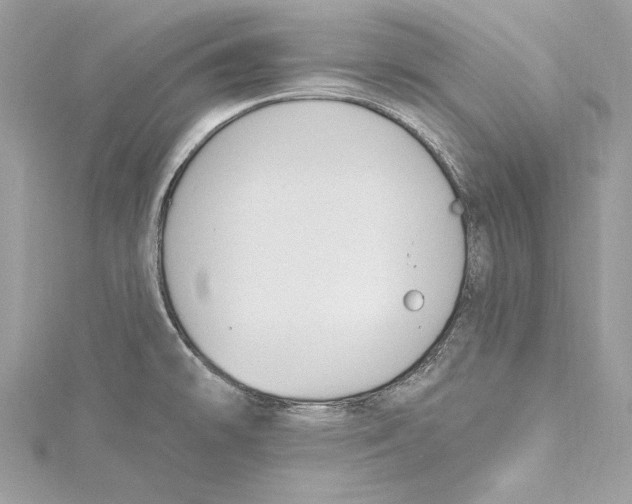 X0000115421478200912011316