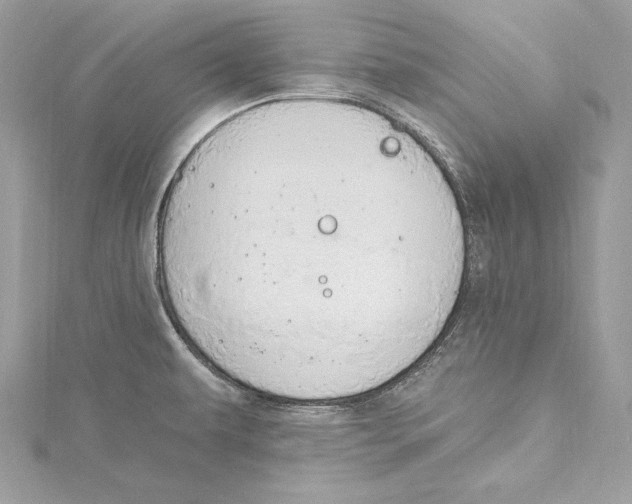 X0000115421479200912011316