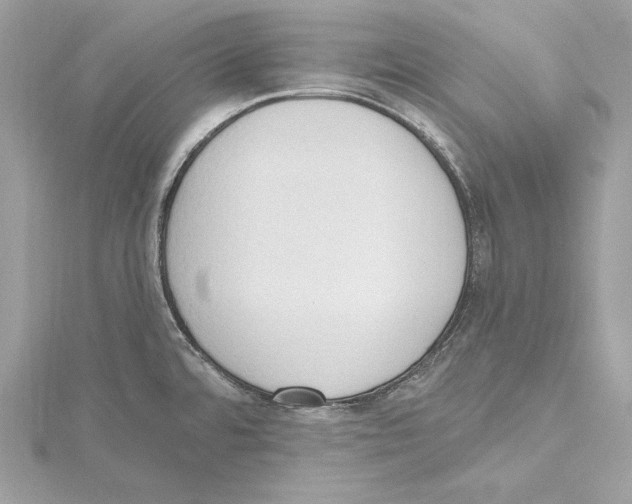 X0000115421480200912011316