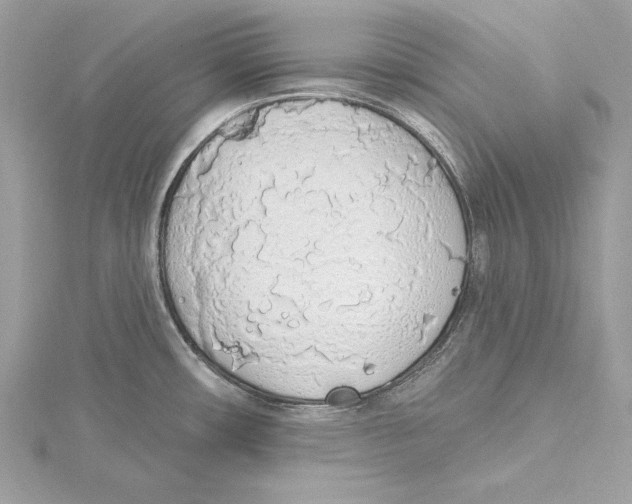 X0000115421482200912011316