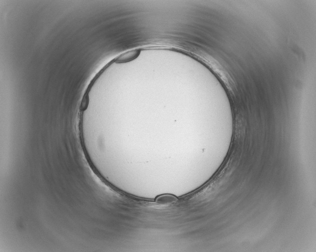 X0000115421484200912011316