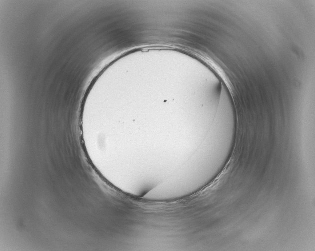 X0000115421485200912011316