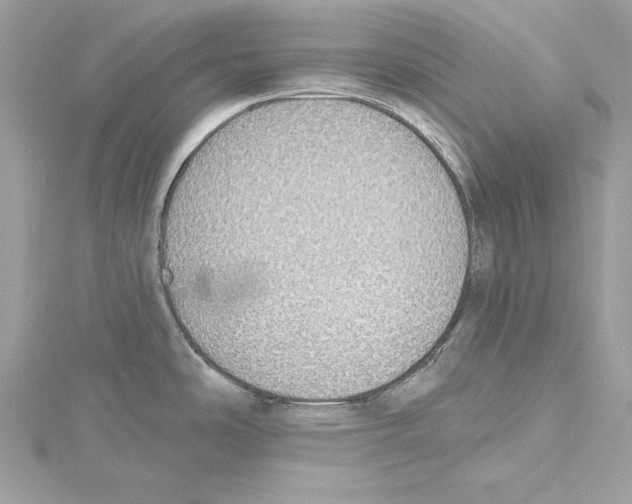 X0000115421486200912011316