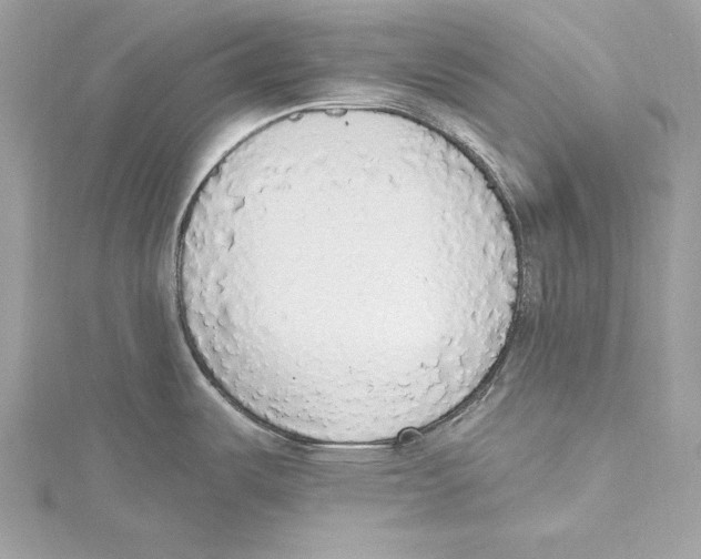 X0000115421487200912011316