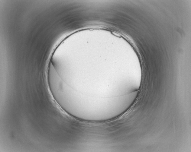 X0000115421488200912011316