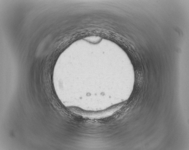 X0000115421489200912011316