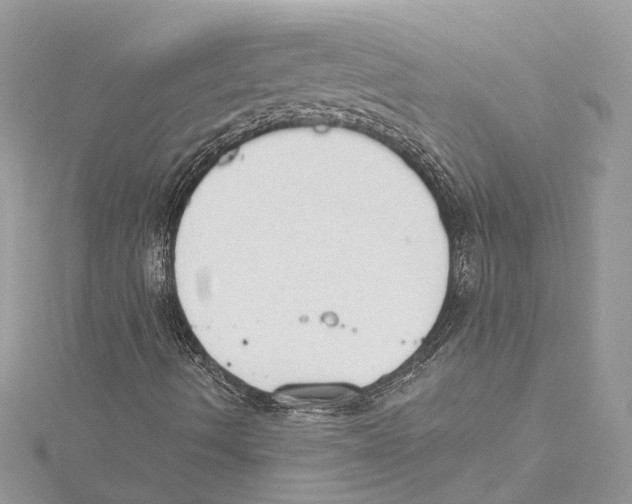 X0000115421490200912011316