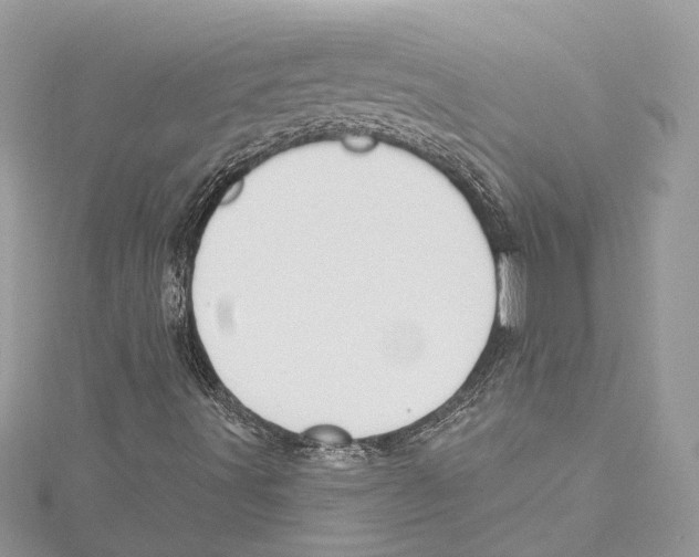 X0000115421491200912011316