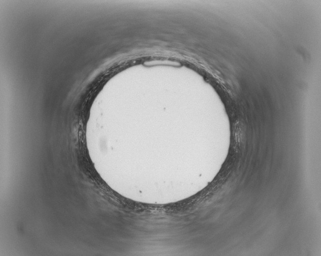 X0000115421495200912011316