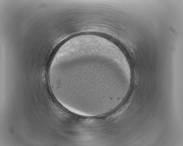 X0000115421497200912011316