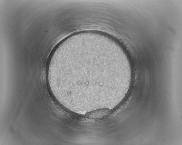 X0000115421505200912011316