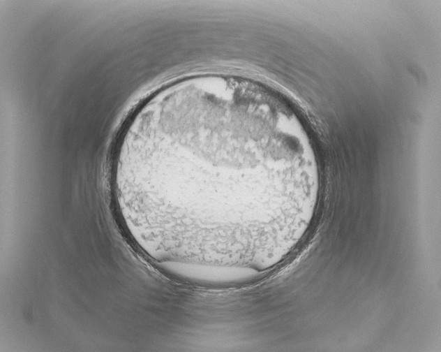 X0000115421506200912011316