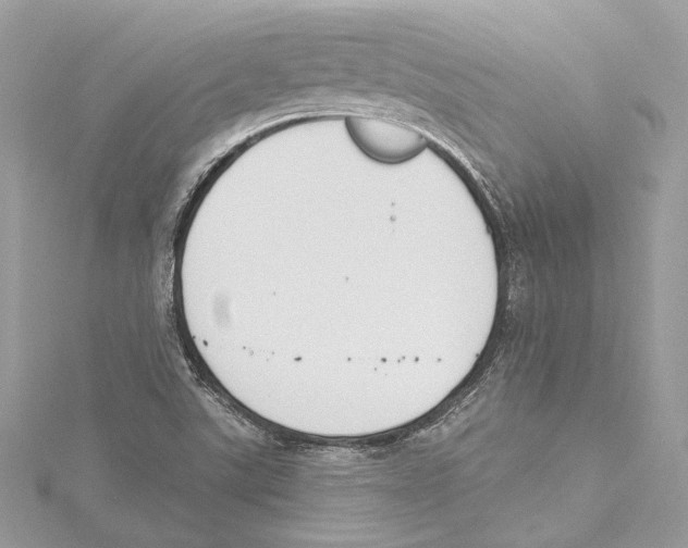 X0000115421507200912011316