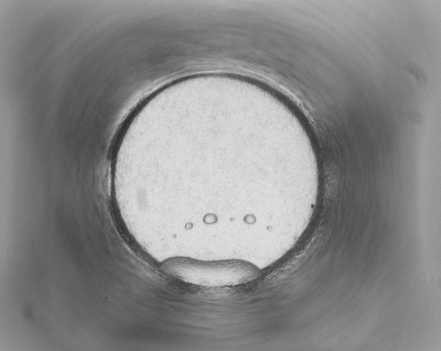 X0000115421509200912011316