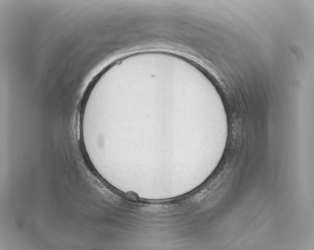 X0000115421510200912011316