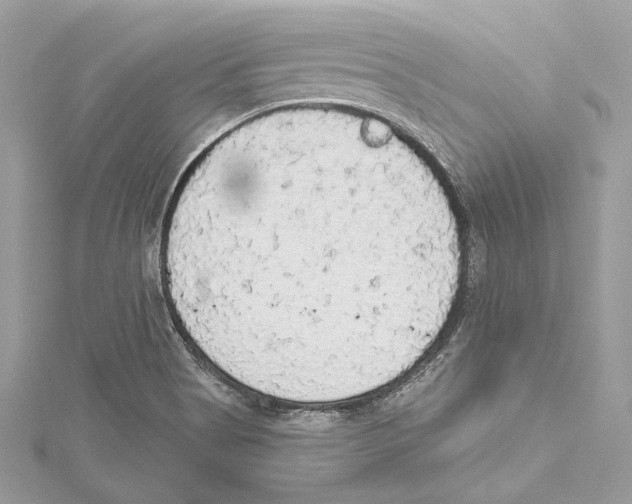 X0000115421513200912011316