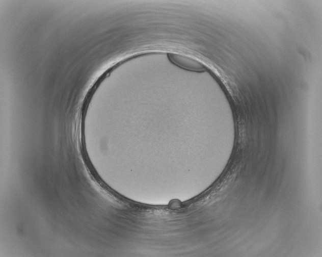 X0000115421515200912011316