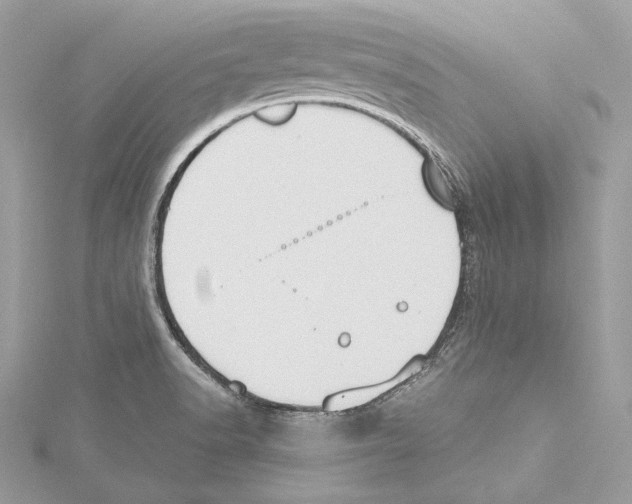 X0000115421518200912011316