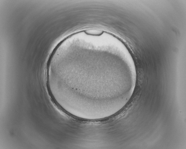 X0000115421519200912011316