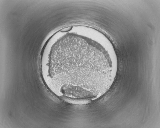 X0000115421522200912011316