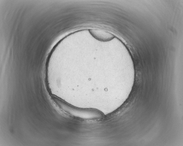 X0000115421523200912011316